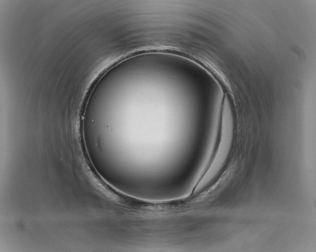 X0000111880797200907231534