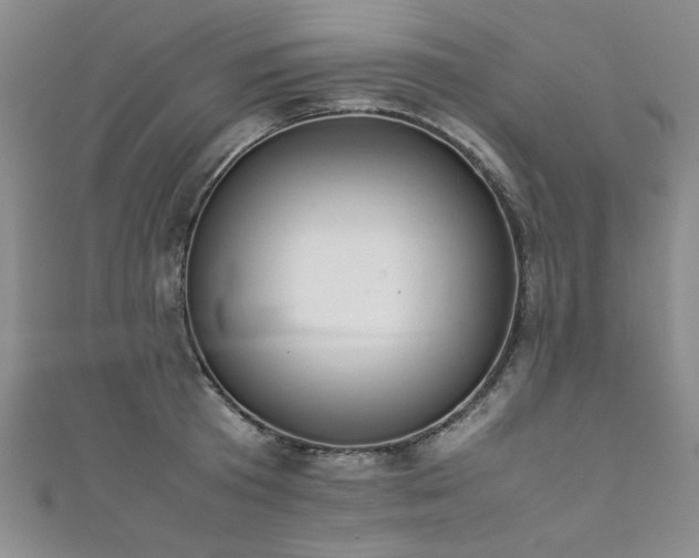 X0000111880801200907231534