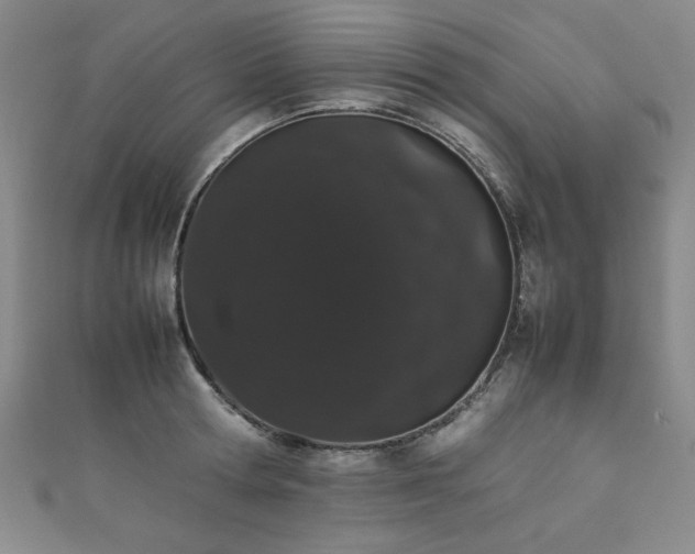 X0000111880802200907231534