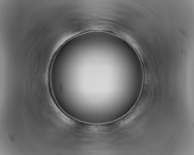 X0000111880803200907231534