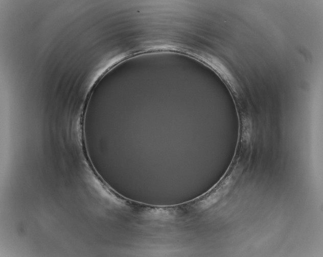 X0000111880806200907231534