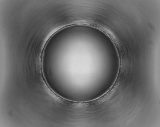 X0000111880808200907231534