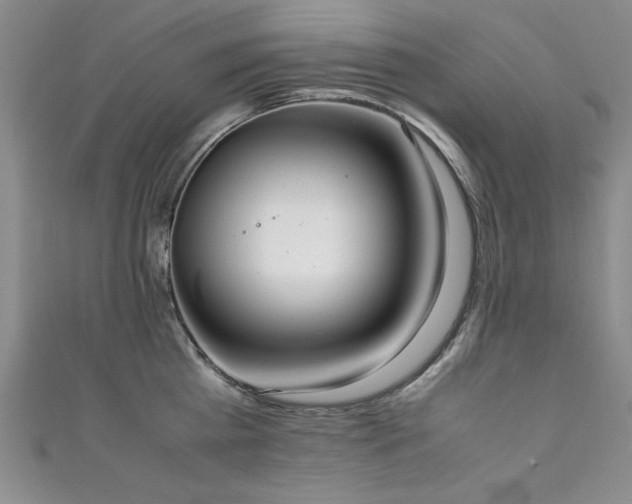 X0000111880809200907231534