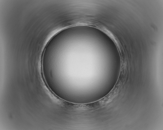 X0000111880811200907231534