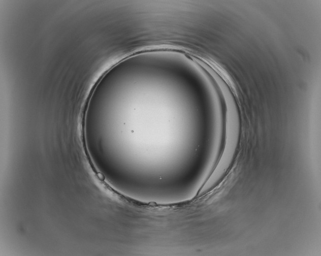 X0000111880813200907231534