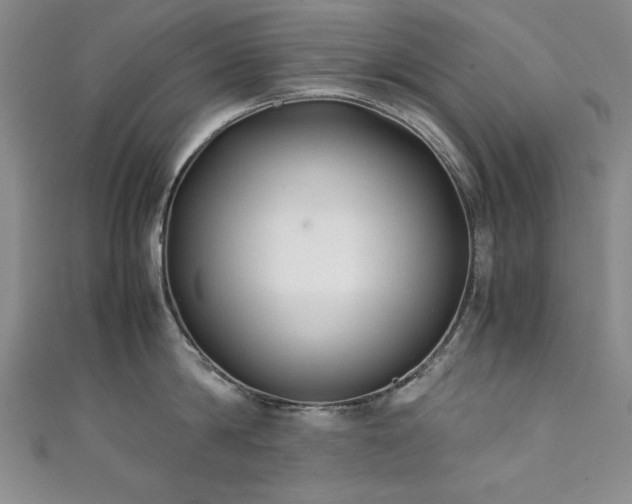 X0000111880814200907231534