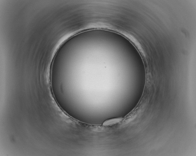 X0000111880815200907231534