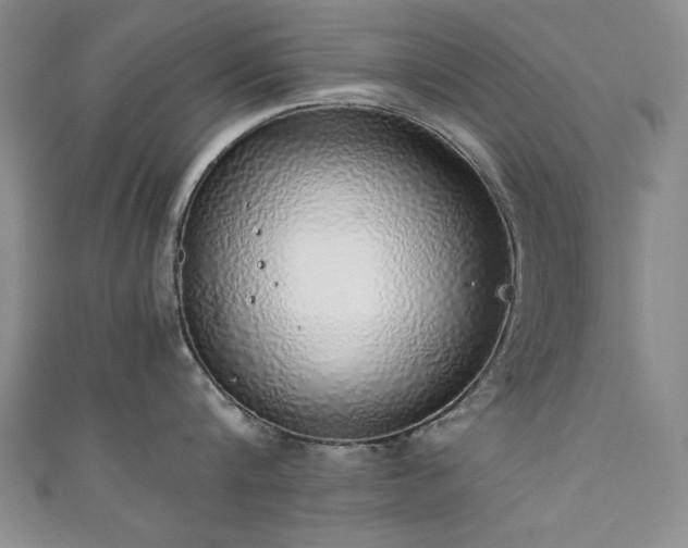 X0000111880816200907231534