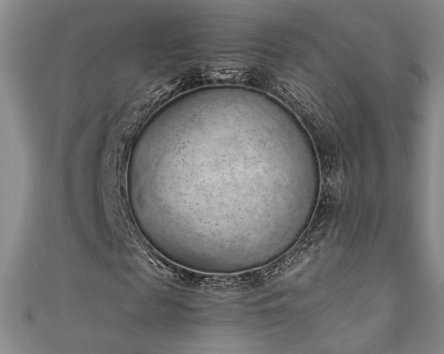 X0000111880817200907231533