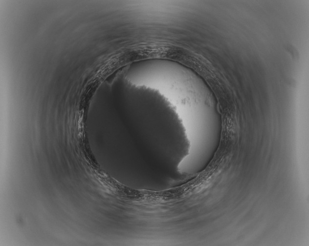 X0000111880818200907231533