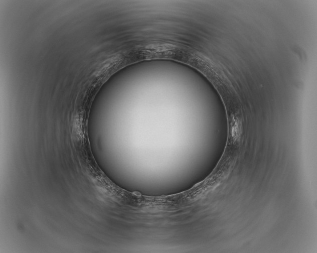 X0000111880819200907231533