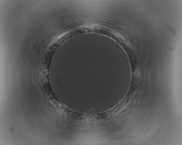 X0000111880822200907231533