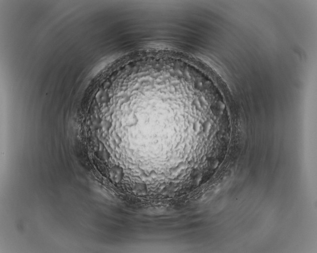 X0000111880823200907231533