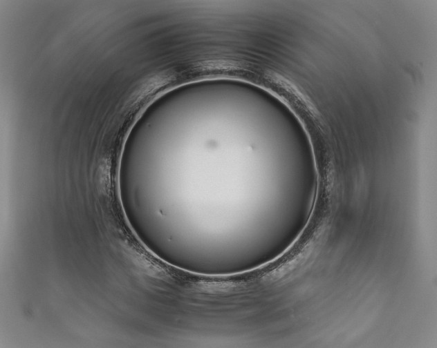 X0000111880825200907231533