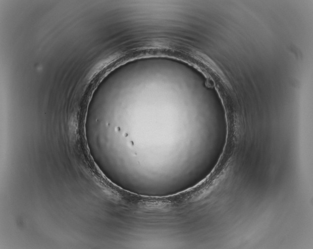 X0000111880826200907231533
