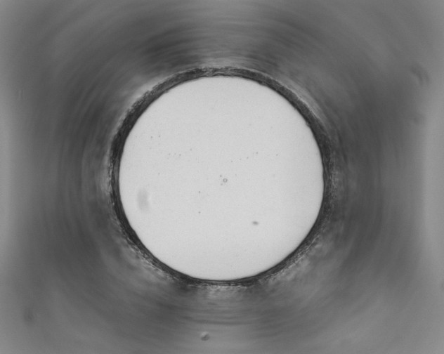 X0000111880832200907231533