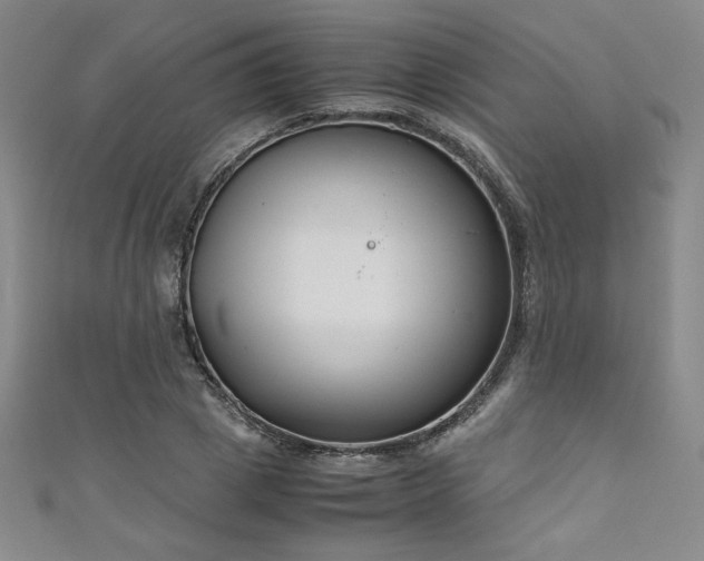 X0000111880833200907231533