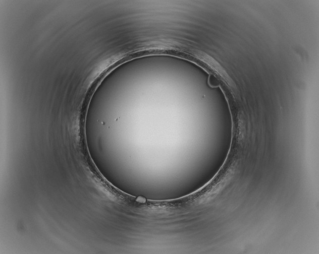 X0000111880834200907231533