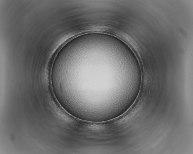 X0000111880835200907231533