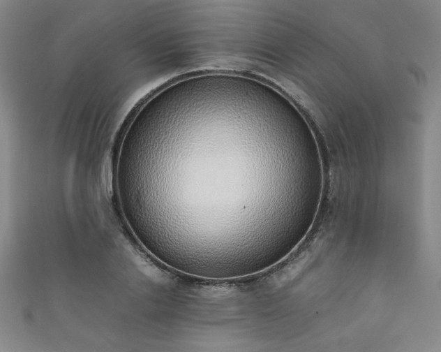 X0000111880838200907231533