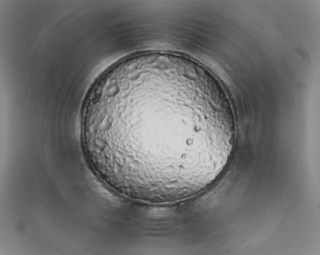 X0000111880839200907231533