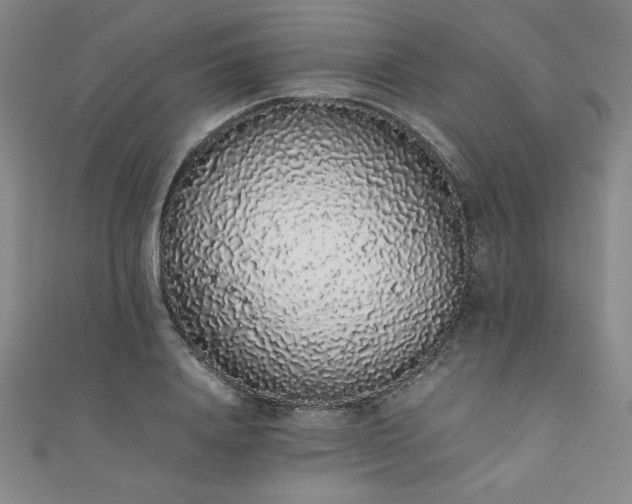 X0000111880840200907231533