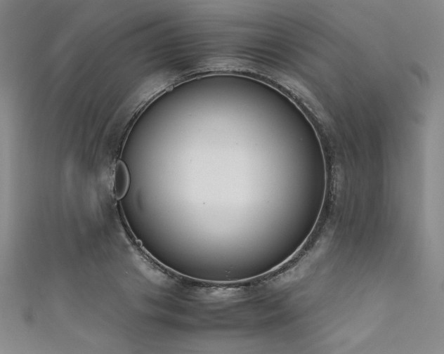 X0000111880841200907231533