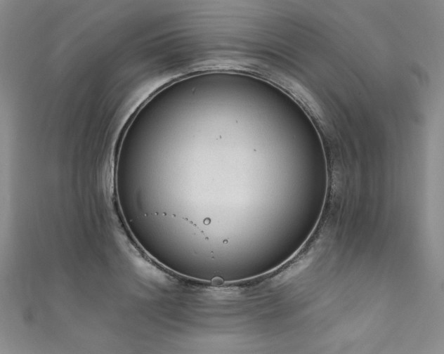 X0000111880844200907231533