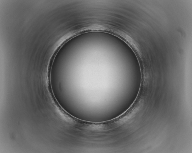 X0000111880845200907231533