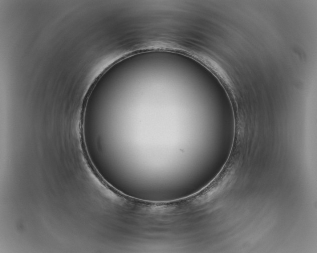X0000111880847200907231533