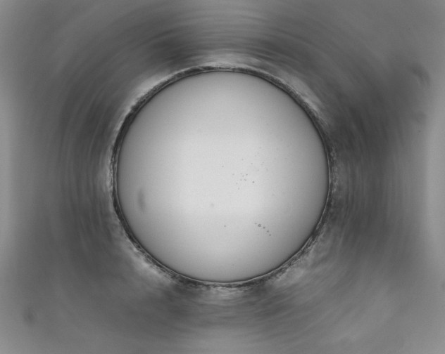 X0000111880848200907231533