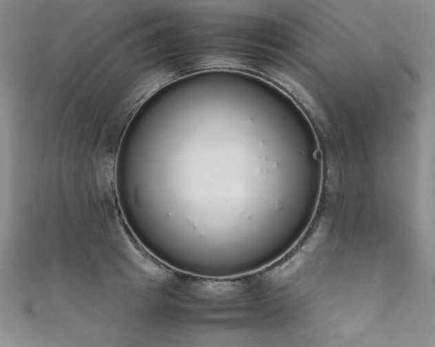 X0000111880849200907231534