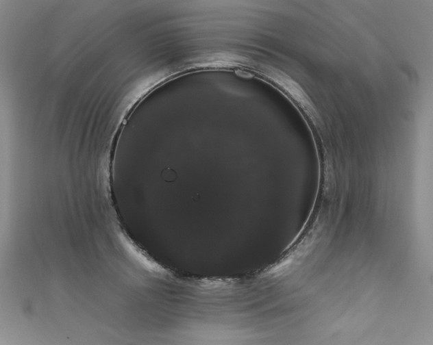 X0000111880850200907231534
