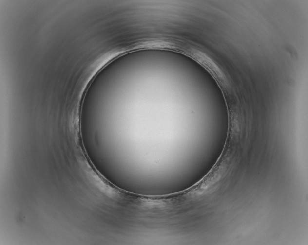 X0000111880852200907231534