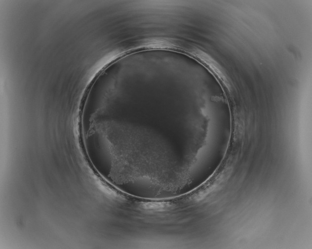 X0000111880853200907231534