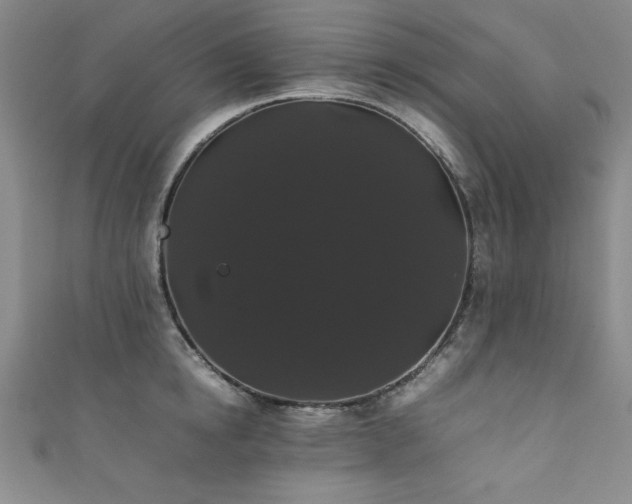 X0000111880854200907231534
