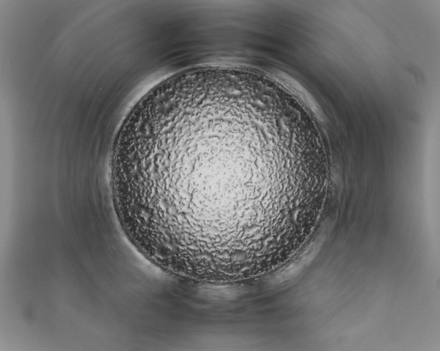 X0000111880855200907231534