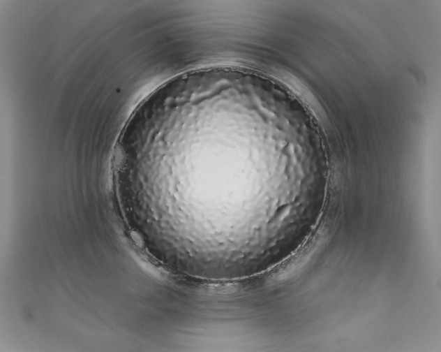 X0000111880858200907231534