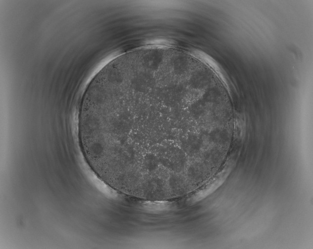 X0000111880859200907231534
