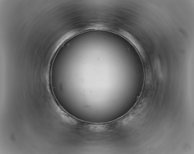 X0000111880861200907231534