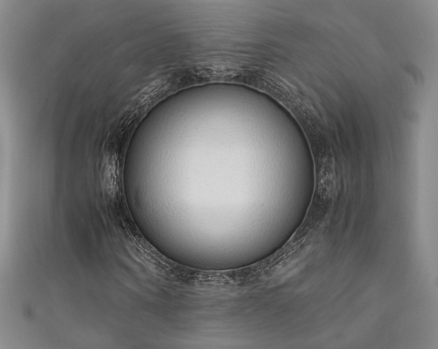 X0000111880866200907231533
