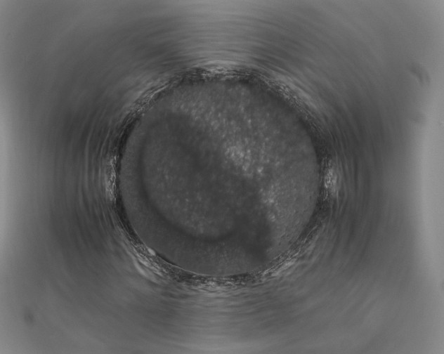 X0000111880868200907231533