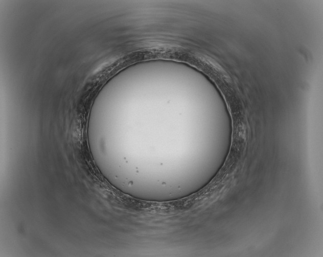 X0000111880869200907231533