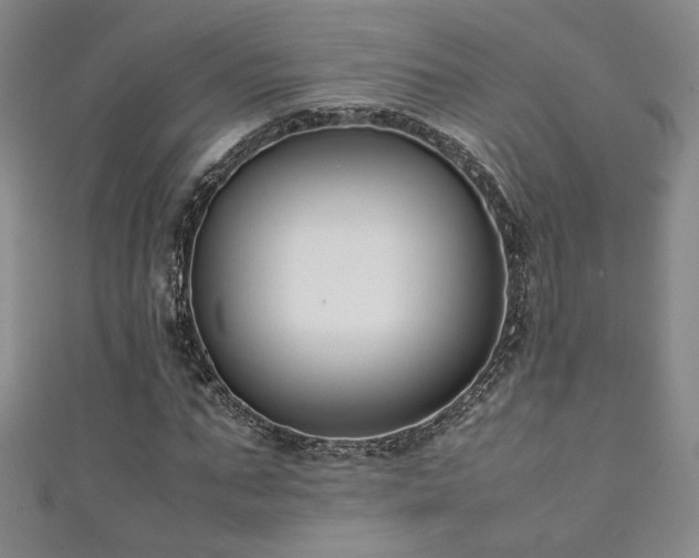 X0000111880871200907231533