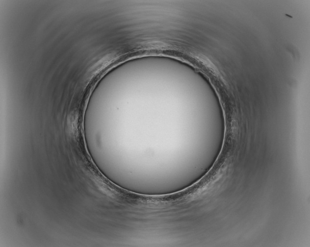 X0000111880873200907231533