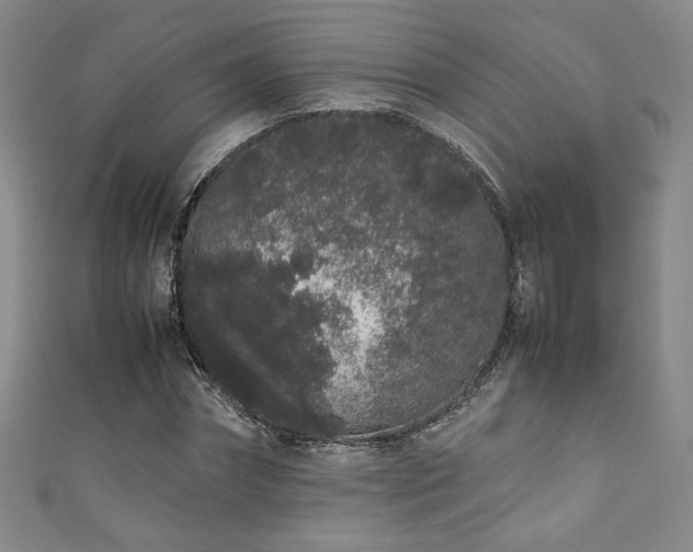 X0000111880874200907231533