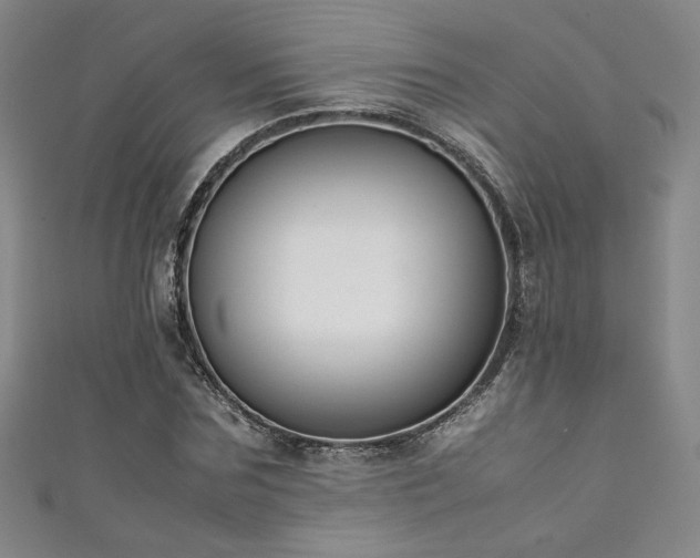 X0000111880875200907231533