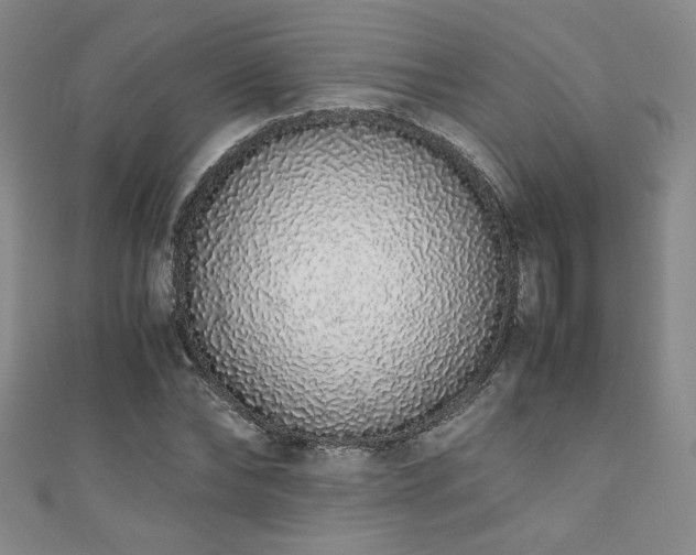 X0000111880878200907231533