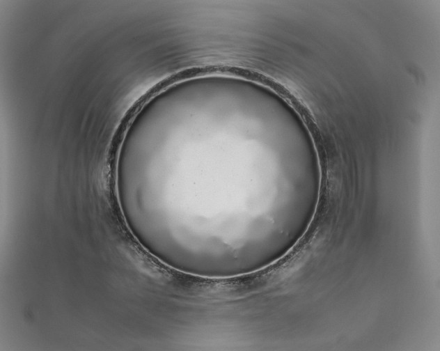 X0000111880879200907231533
