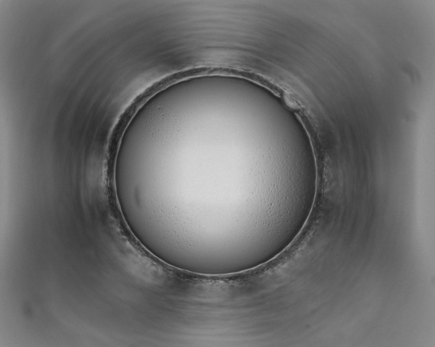 X0000111880880200907231533